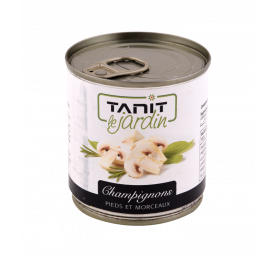 CHAMPIGNON TANIT 1/2 *12