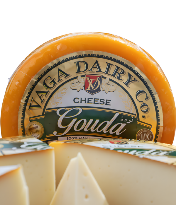 GOUDA VAGA
