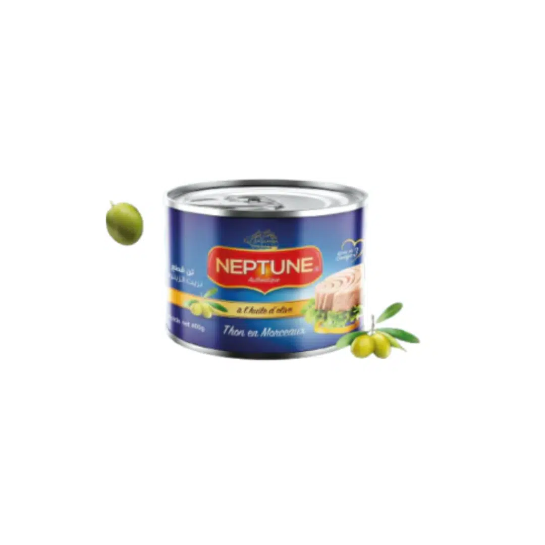 THON NEPTUNE TRADITIONNEL 400 HO*24
