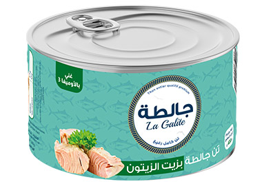 THON GALIT 400GR HO *24