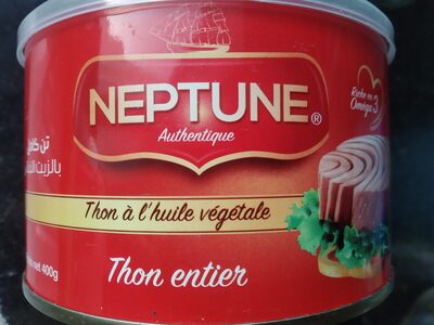 THON NEPTUNE ROUGE HV 400GR*24