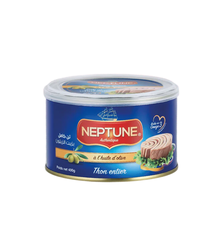 THON NEPTUNE 400GR HO.24