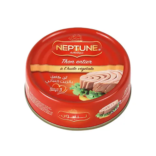 THON NEPTUNE TRADITIONNEL 160GR*HV*48
