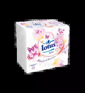 SERVIETTE DORSH 30/30*18